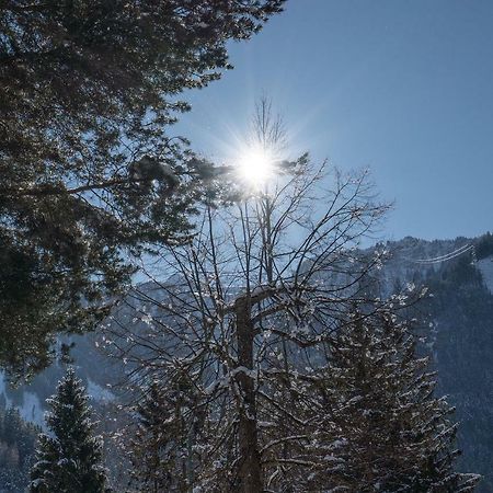 Villa Volgger Mayrhofen Dış mekan fotoğraf